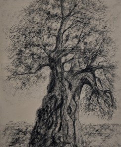 Photos from my last exhibition “3D Views” at Gallery Der Kunstraum Gallery  Vienna Austria  2016