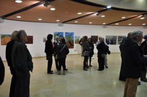 Opening ceremony exhibition "Connections" , January 2017, Raanana, Israel